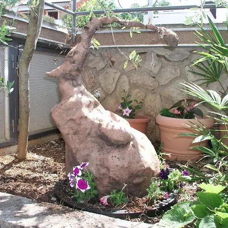 Kalinic 니바이스