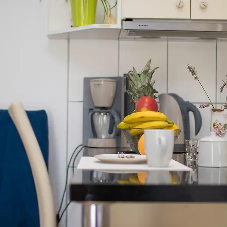 Kalinic 홈스테이 *