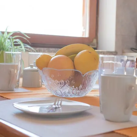 Kalinic 니바이스